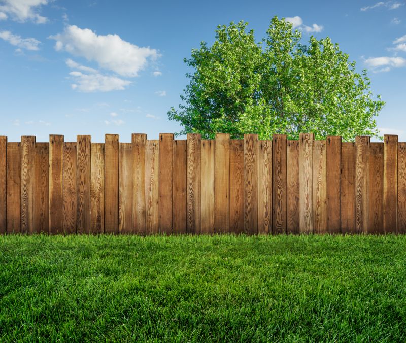 New Wood Fence